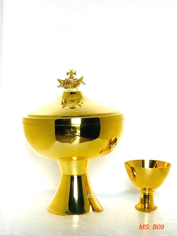 BÌNH ĐỒNG TẾ XI VÀNG - B09