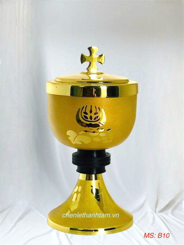Bình Cibore – B10