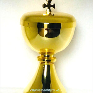 Bình Cibore – B11