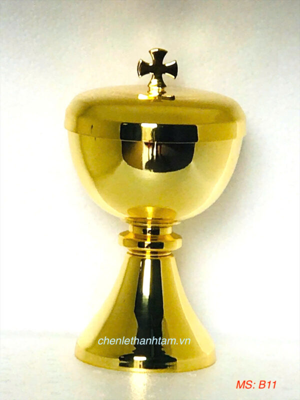 Bình Cibore – B11