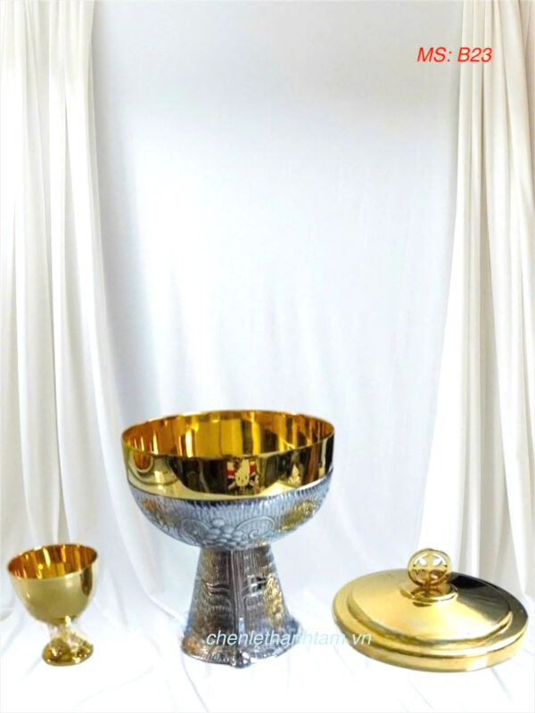 Bình Đồng Tế - B23