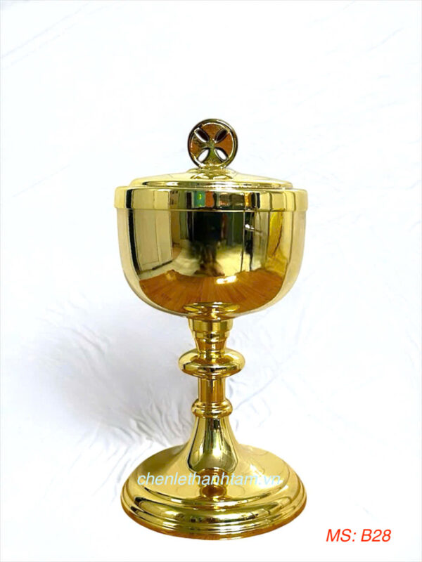 Bình Cibore - B28